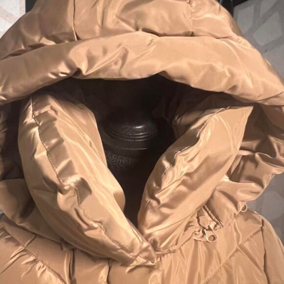 Steve-madden Women's Champagne Gold Puffer Coat XS NWT - Picture 6 of 8